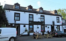 Black Bull